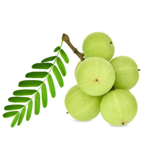 Aamalaki