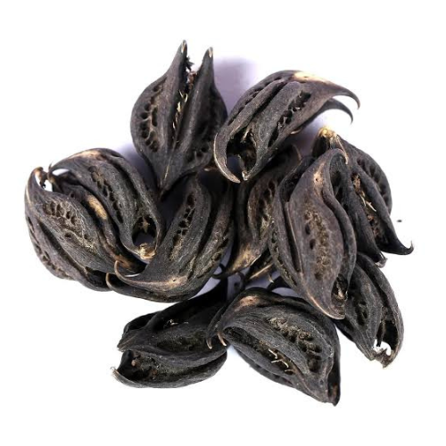 Kakanasika